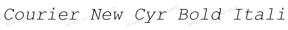 Courier New Cyr Bold Italic字体转换
